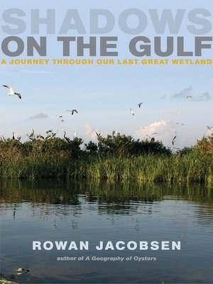 Shadows on the Gulf - ebook